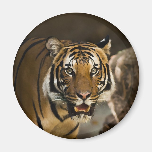 Siberian Tiger Magnet (Front)