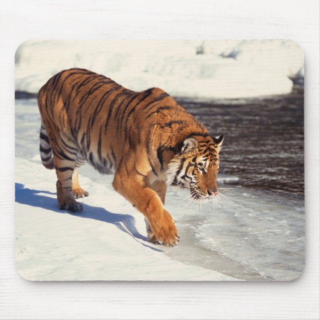 Siberian tiger mouse pad (Front)