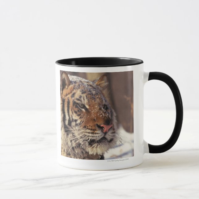 Siberian tiger mug (Right)