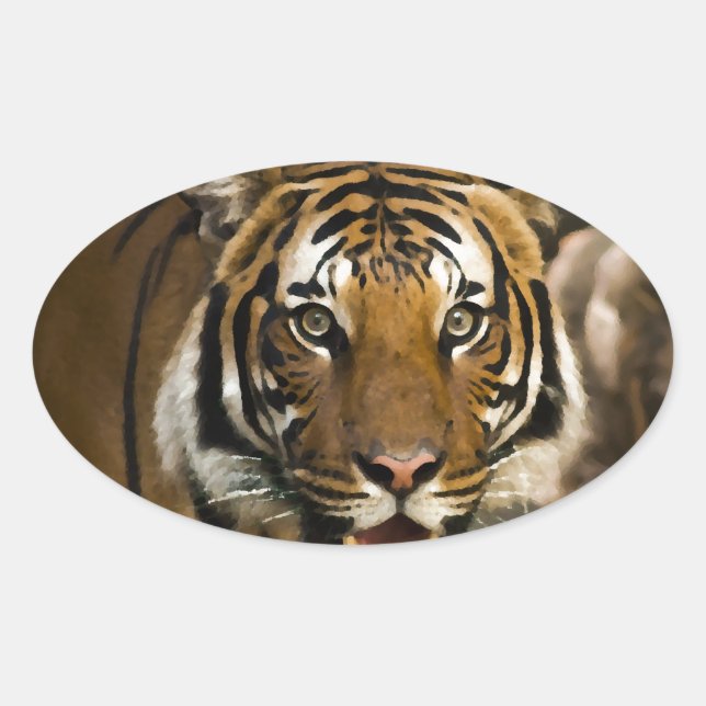 Siberian Tiger Oval Sticker (Front)