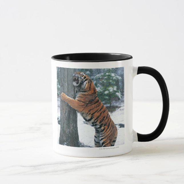 Siberian Tiger (Panthera tigris altaica) Mug (Right)