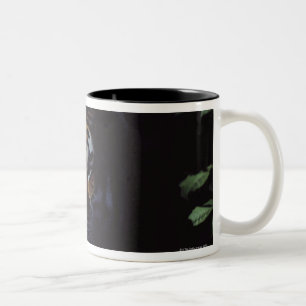 Siberian Tiger (Panthera Tigris Altaica) Peers Two-Tone Coffee Mug