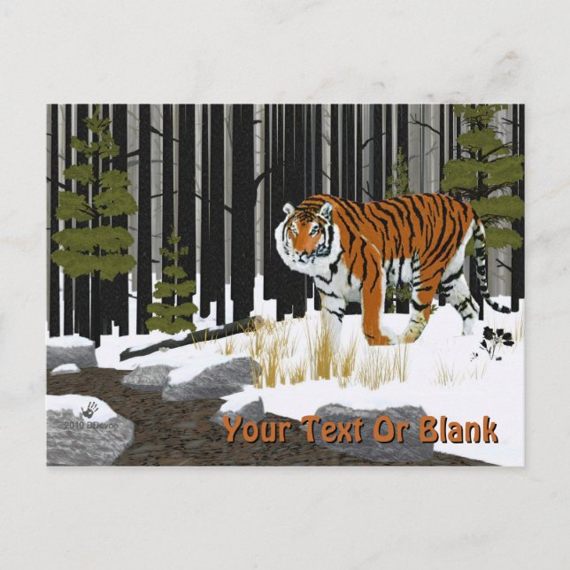 Siberian Tiger Postcard (Front)