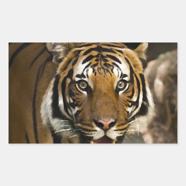 Siberian Tiger Rectangular Sticker (Front)