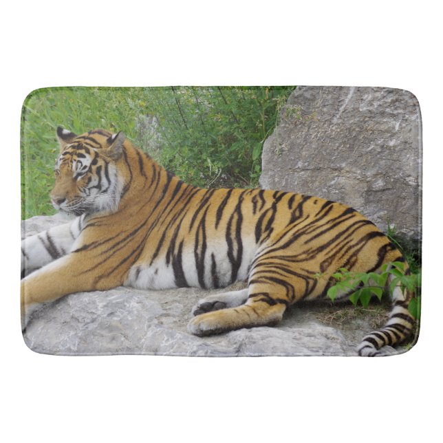 Siberian Tiger Relaxing on a Rock Bath Mat (Front)