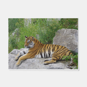 Siberian Tiger Relaxing on a Rock Doormat