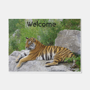 Siberian Tiger Relaxing on a Rock Doormat