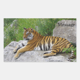 Siberian Tiger Relaxing on a Rock Rectangular Sticker