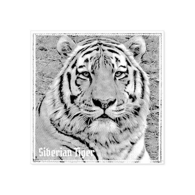 Siberian Tiger rubber stamp (Imprint)