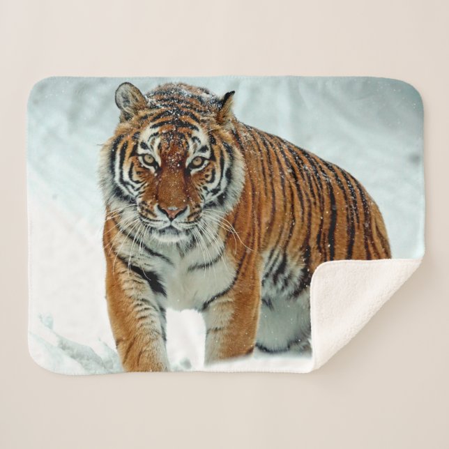 SIBERIAN TIGER SHERPA BLANKET (Front (Horizontal))