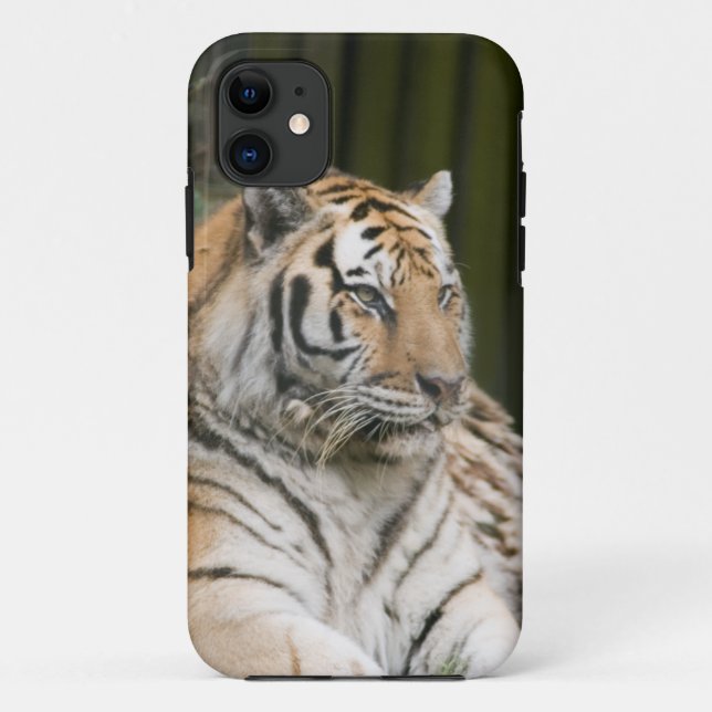 Siberian Tiger Tigress Case-Mate iPhone Case (Back)