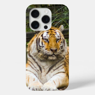 Siberian Tiger Tigress iPhone 15 Pro Case