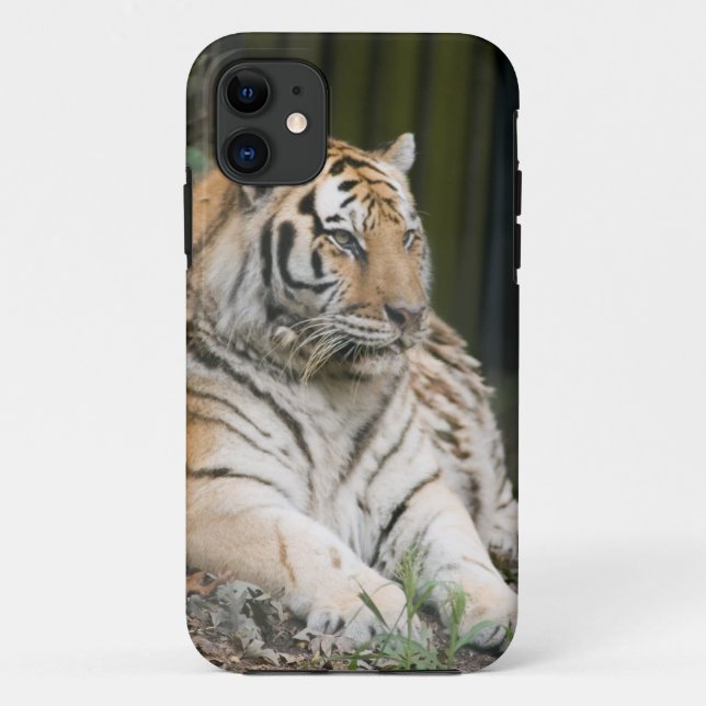 Siberian Tiger Tigress Case-Mate iPhone Case (Back)