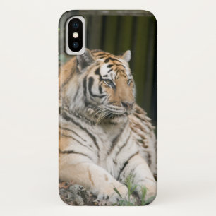 Siberian Tiger Tigress Case-Mate iPhone Case