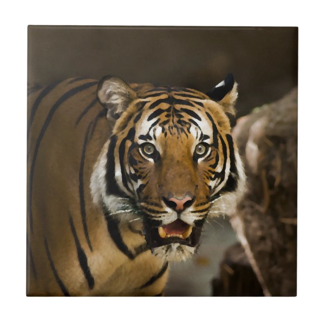 Siberian Tiger Tile (Front)