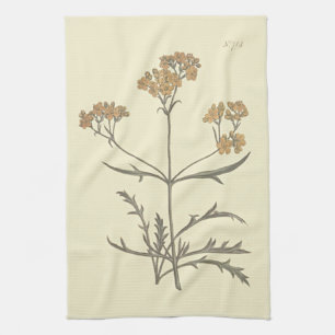 Siberian Valerian Botanical Illustration Tea Towel