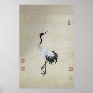 Siberian White Crane Poster