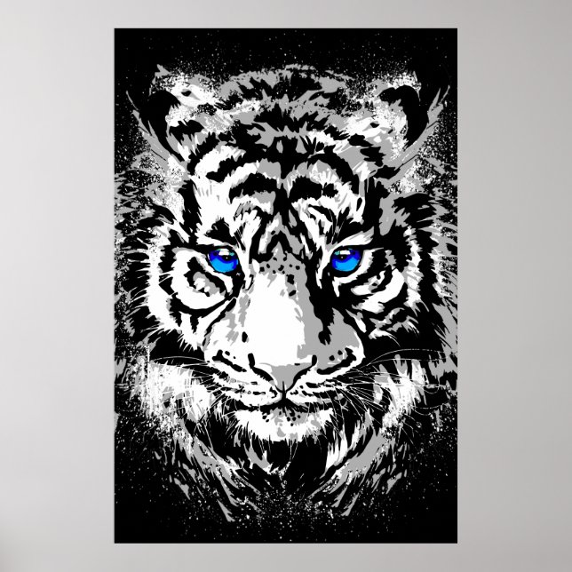 Siberian White Tiger Head - Tiger Poster Blue Eyes (Front)