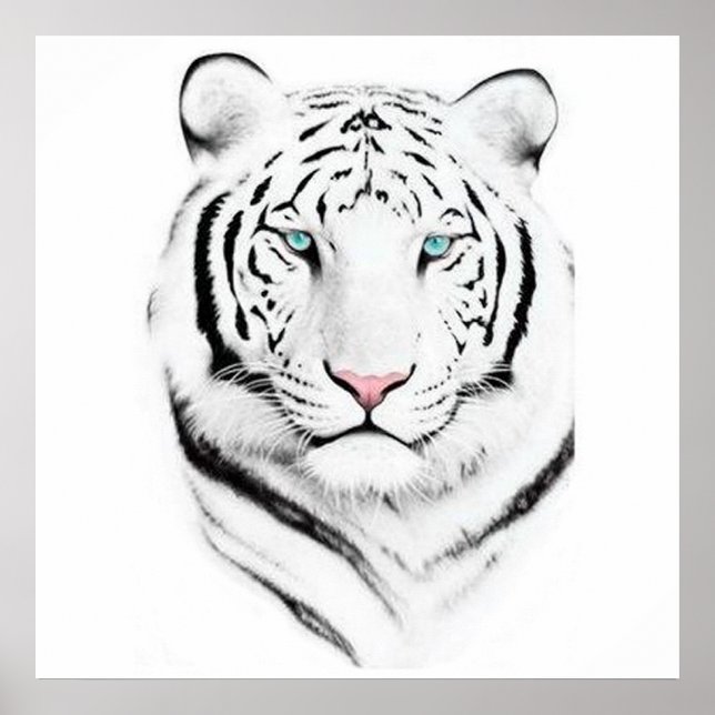 Siberian White Tiger Poster (Front)