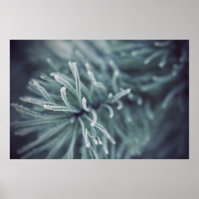 Siberian Winter 3 Poster (Front)