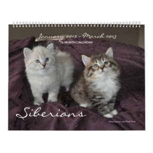 Siberians Cats January 2014 to March 2015 Calendar