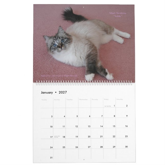 Siberians Cats Kittens 2012 - 2013 Calendar (Jan 2027)