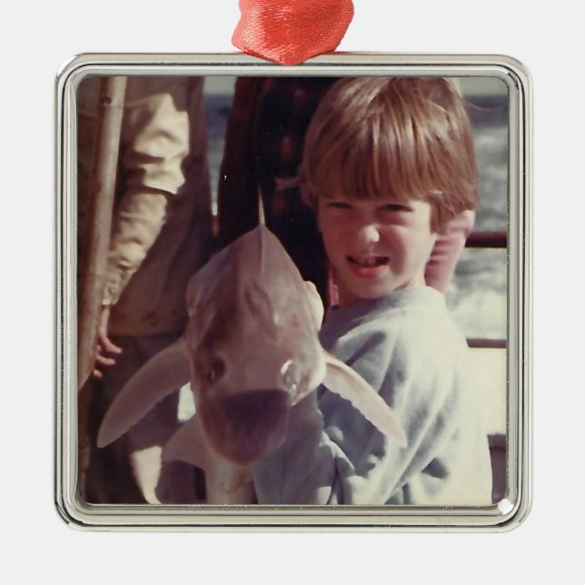 Sibling Memories Metal Ornament (Front)