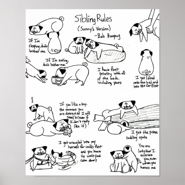 Sibling Rules (Older Pug's Version) Poster (Front)