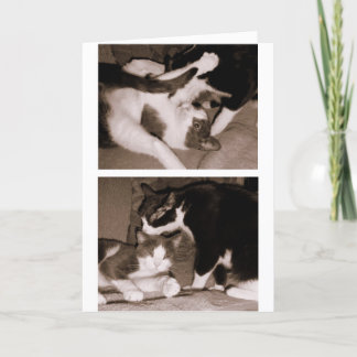 Siblings - Brothers & Sisters Card