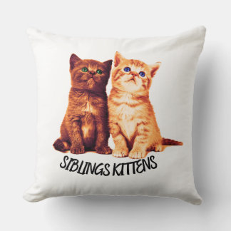 Siblings kittens, two cute cats cushion