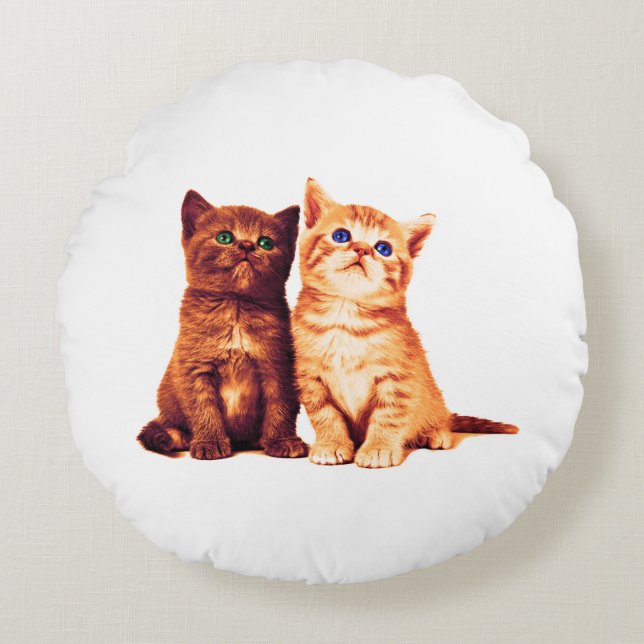 Siblings kittens, two cute cats round cushion (Front)