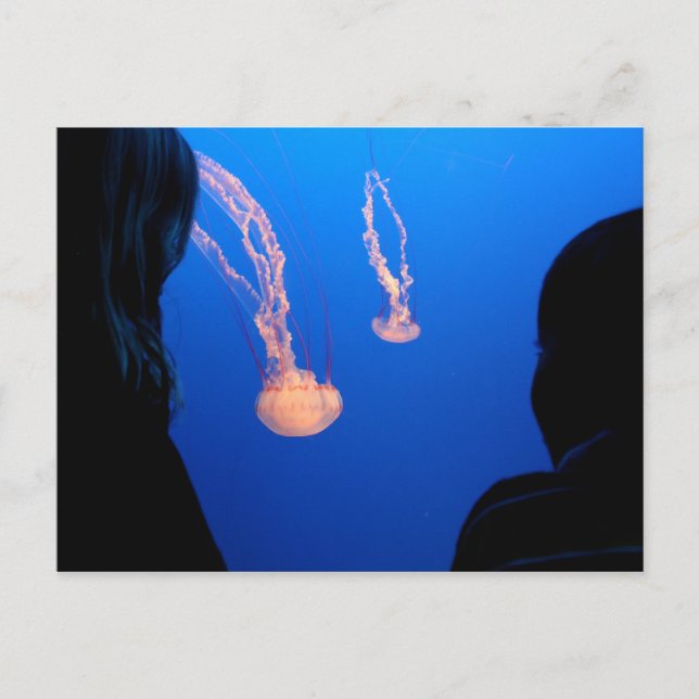 Siblings Postcard (Front)