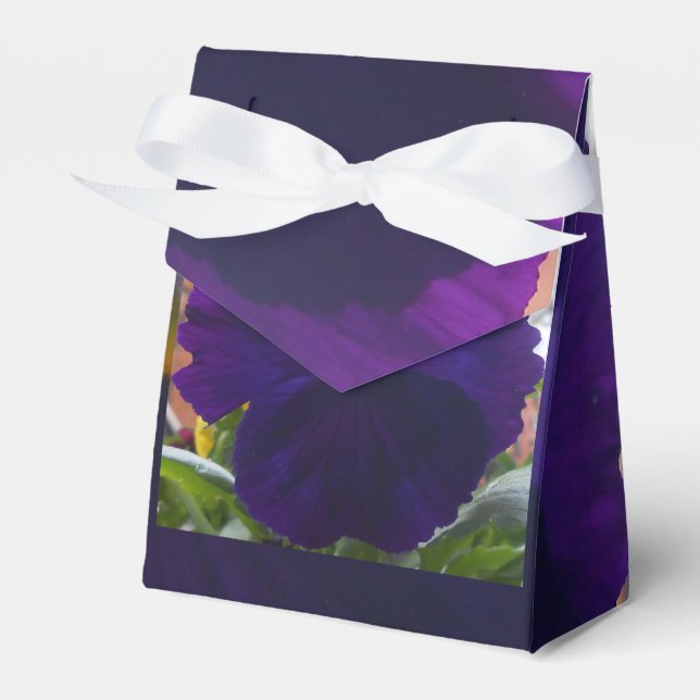 Sibylla Favour Box (Front Side)