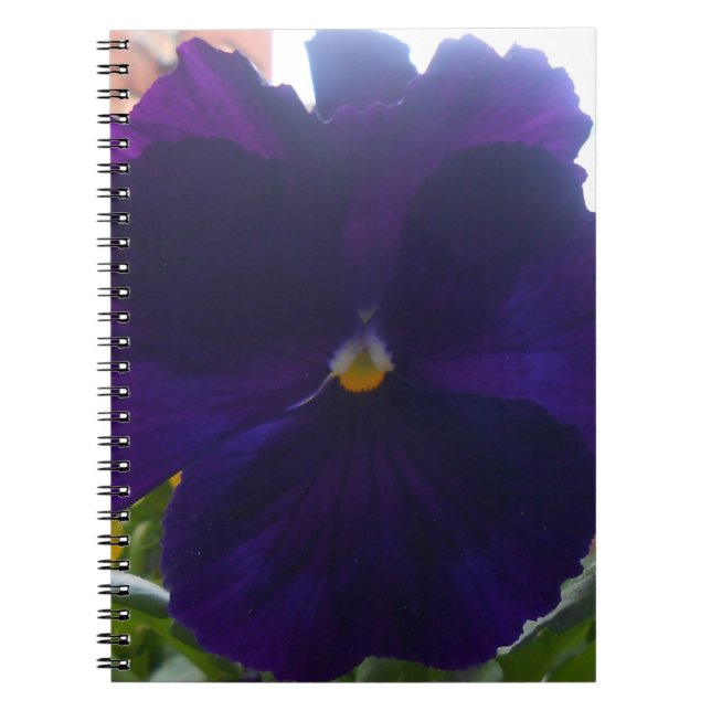 Sibylla Notebook (Front)