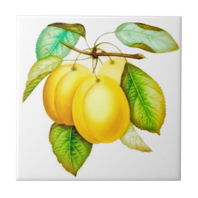Sicilian style, Summer Art Fruit Yellow Plums Ceramic Tile (Front)