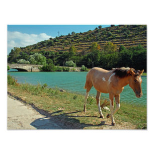 Sicily horse photo print