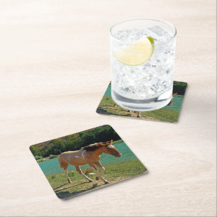Sicily horse square paper coaster