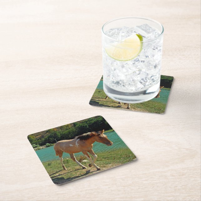 Sicily horse square paper coaster (Insitu)