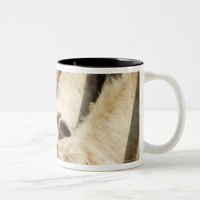 Sicily, Italy Two-Tone Coffee Mug (Right)
