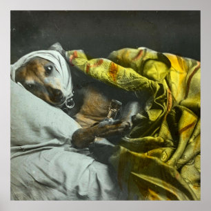 Sick as a Dog Vintage Magic Lantern Slide Poster