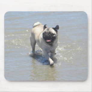 Sid the Pug at Dog Beach, San Diego, CA Mouse Pad