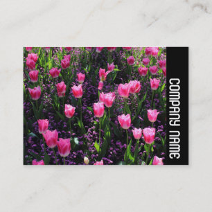 Side Band - Bed of Pink Tulips Business Card