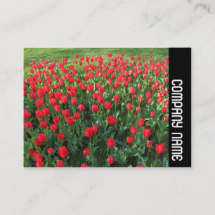 Side Band - Bed of Red Tulips 01 Business Card