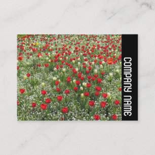 Side Band - Bed of Tulips Business Card