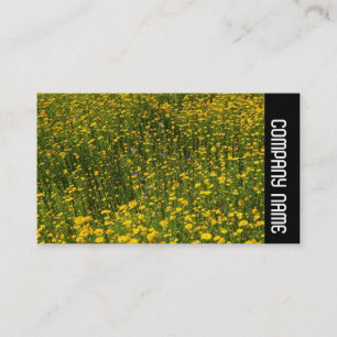 Side Band - Bed of Yellow Daisies Business Card