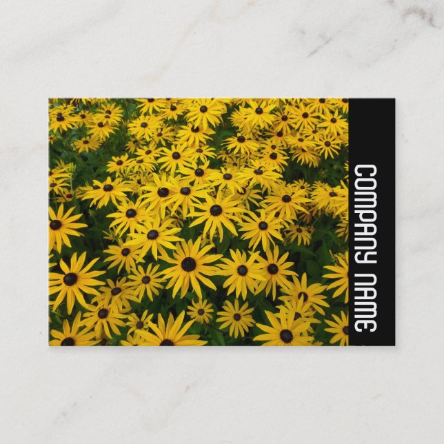 Side Band - Black-eyed Susans (Rudbeckia Hirta) Business Card (Front)