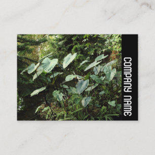 Side Band - Botanical Gardens Business Card