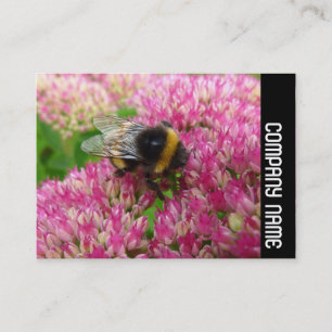 Side Band - Bumble Bee on Sedum Business Card