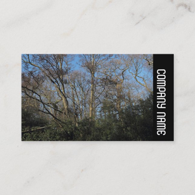 Side Band -  Dancing Trees Business Card (Front)