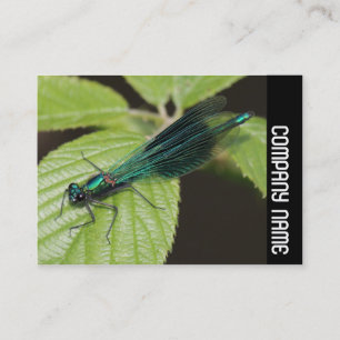 Side Band - Dragonfly Business Card